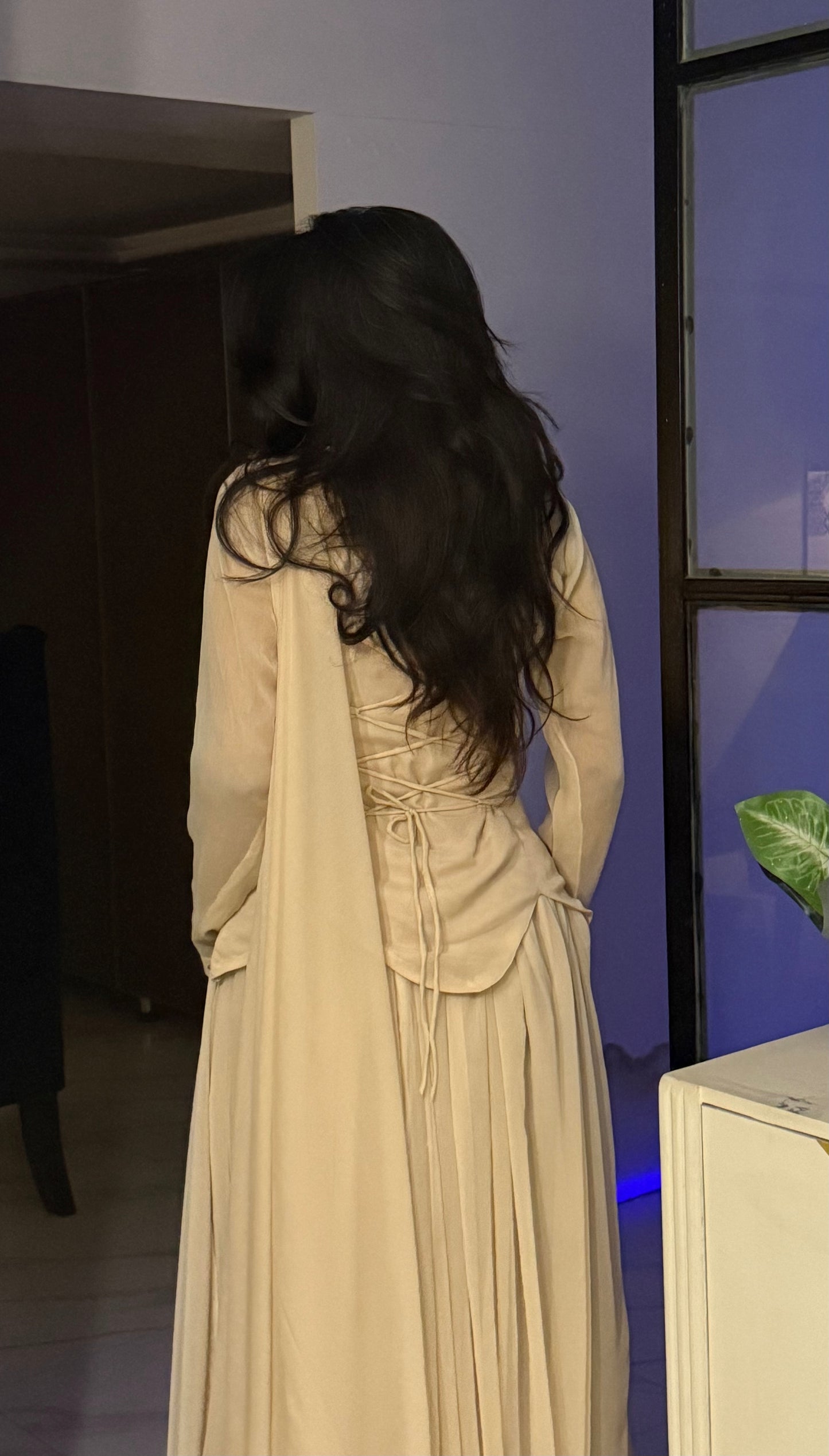 The Enchanted Whisper Georgette Gown Set